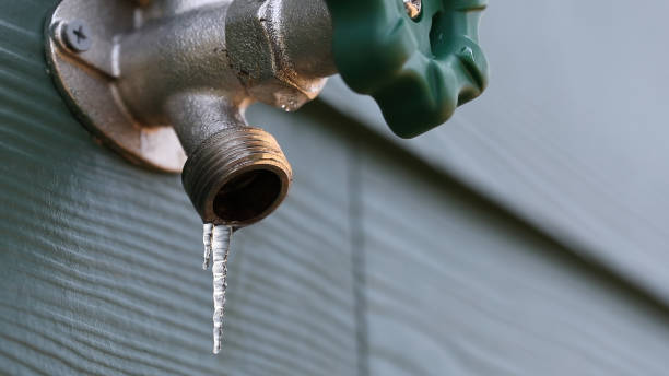 Best Plumbing Services Near Me  in Home Garden, CA